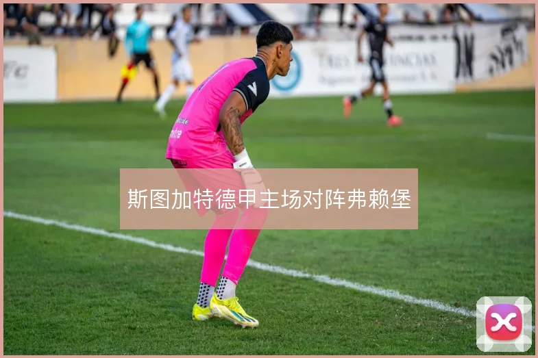 斯图加特德甲主场对阵弗赖堡