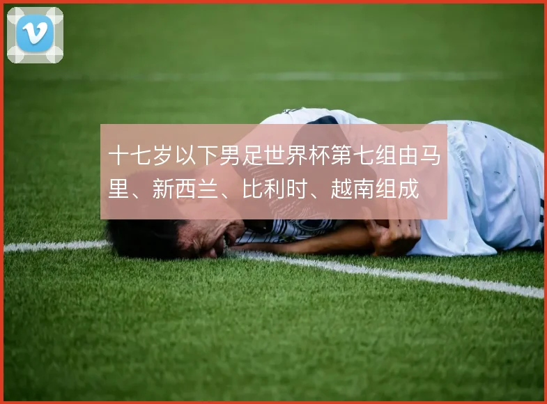 十七岁以下男足世界杯第七组由马里、新西兰、比利时、越南组成