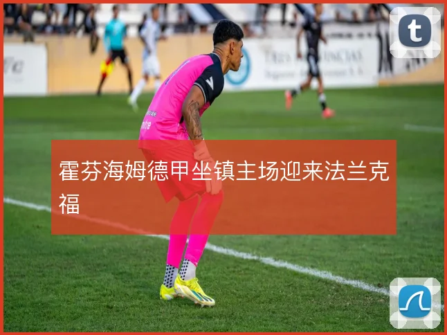 霍芬海姆德甲坐镇主场迎来法兰克福